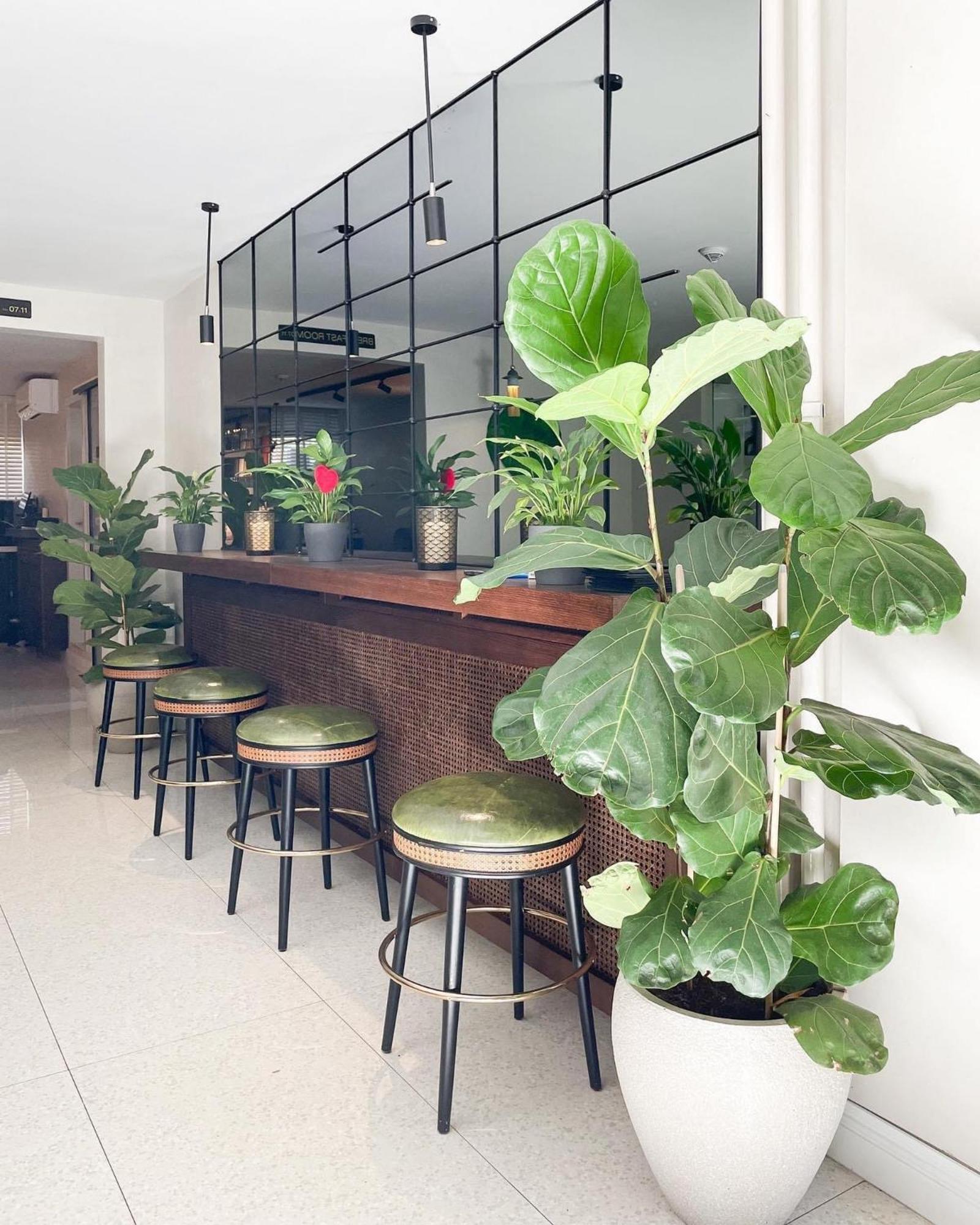 Hotel Botanica Beograd Eksteriør billede